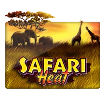 SafariHeat - LinkRTPSLots
